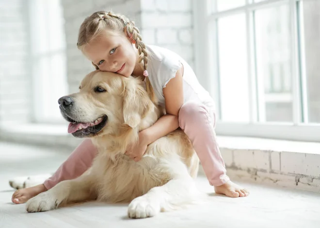 Beliebte Und Pflegeleichte Haustiere Für Kinder